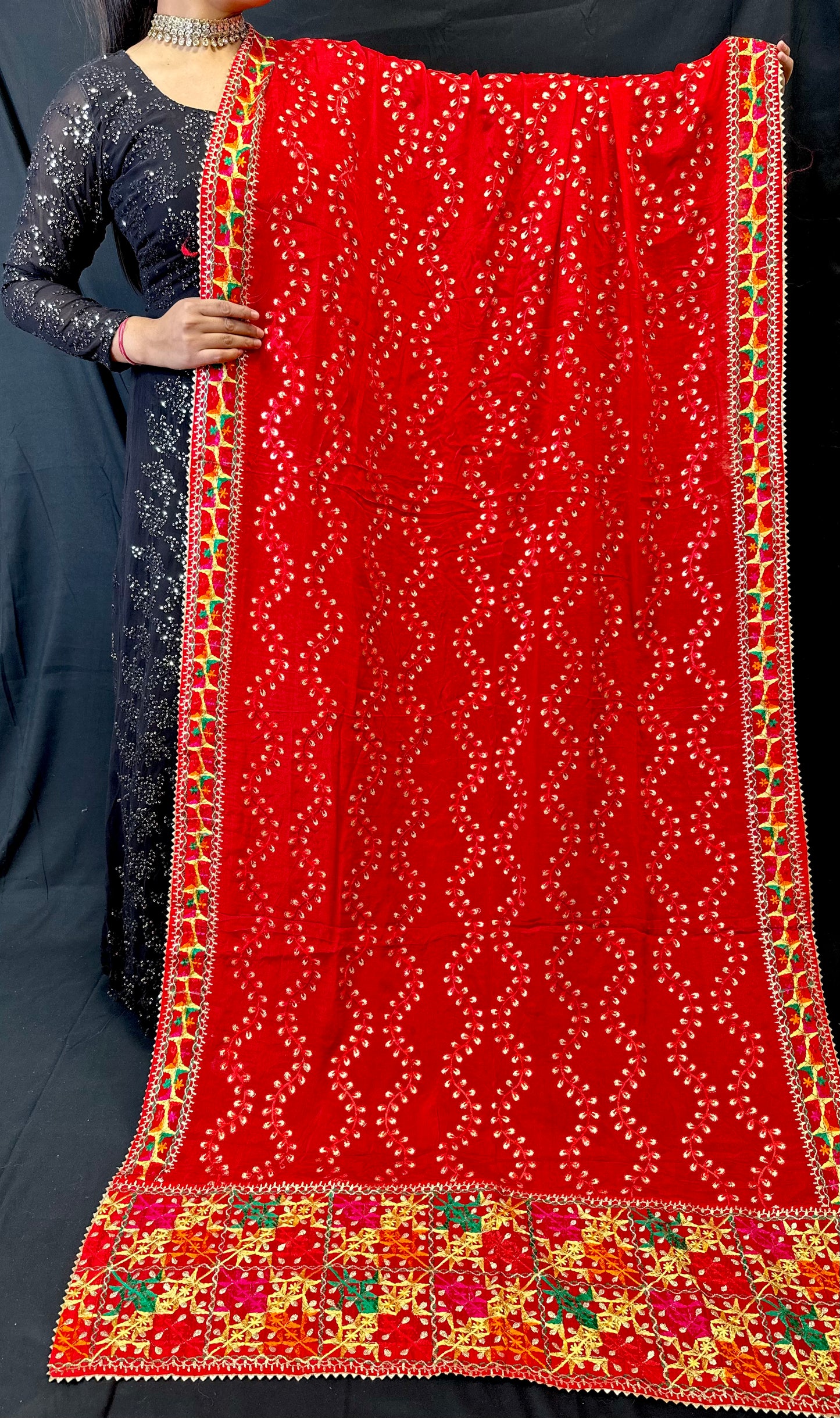 Pure Chiffon Phulkari Dupatta Embroidered With Vine Design | Simzdesignzz |