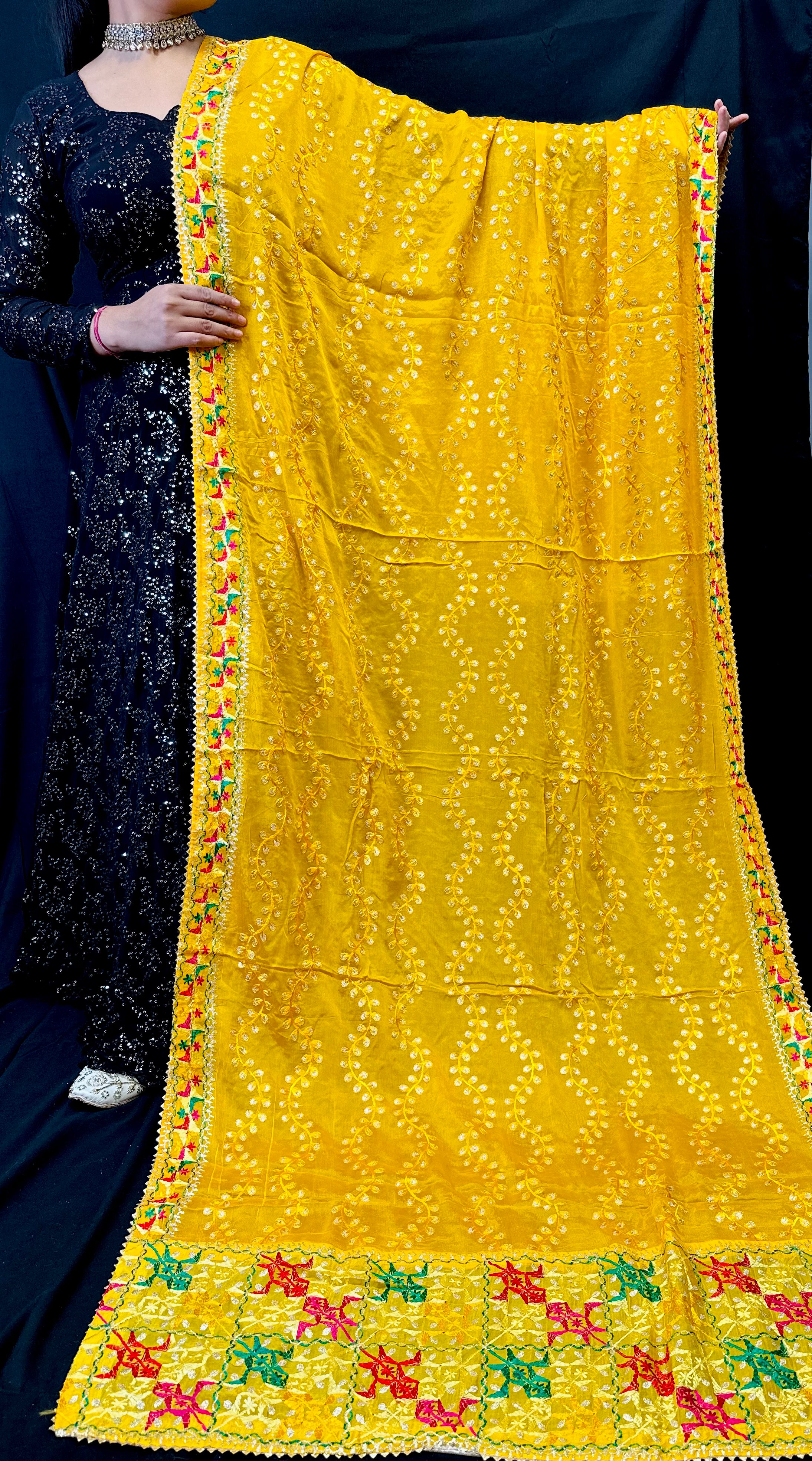 Pure Chiffon Phulkari Dupatta Embroidered With Vine Design | Simzdesignzz |
