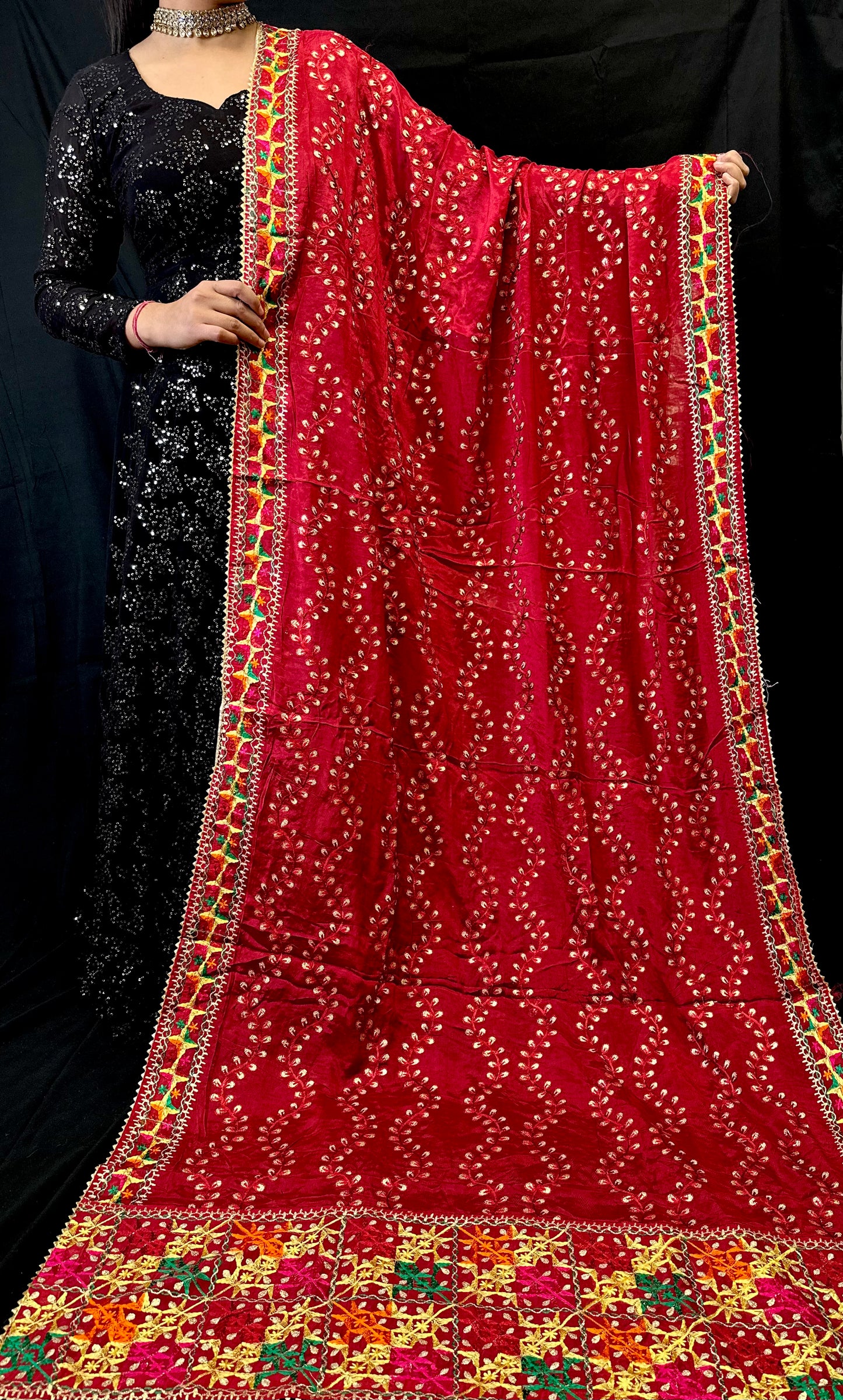 Pure Chiffon Phulkari Dupatta Embroidered With Vine Design | Simzdesignzz |