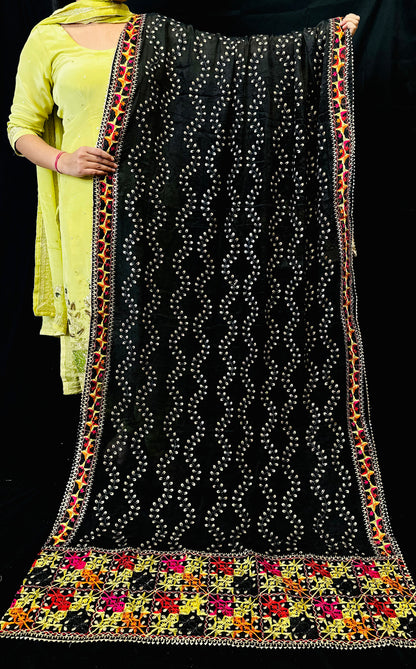 Pure Chiffon Phulkari Dupatta Embroidered With Vine Design | Simzdesignzz |